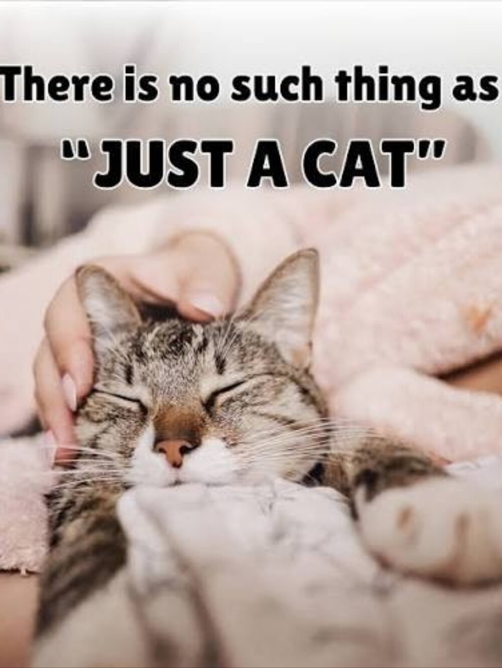 My Fur Babies Are My Everything